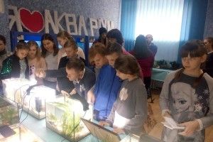 Підводний світ може зачарувати!