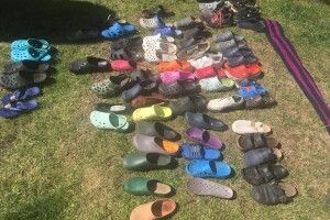 Злодійкувата лисиця поцупила у людей понад сотню одиниць різного взуття (Фото)