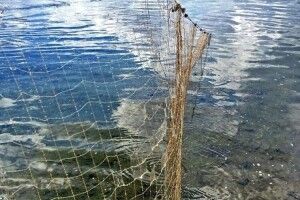 На Горохівщині рибпатруль вилучив 200 метрів сіток