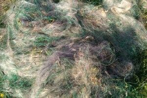 На волинському озері Турське злапали двійко браконьєрів 