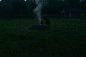 Лучанин, який запалив багаття на подвір’ї, заплатить через це штраф