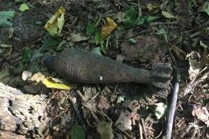 На Рівненщині грибник знайшов гранату