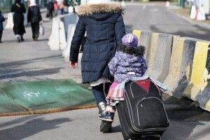 Переселенці на Волинь можуть побачити, як виглядає поселення, на інтерактивній карті