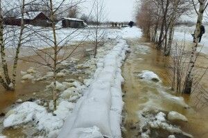 Попередити підтоплення: на Волині провели дамбування берега Стоходу