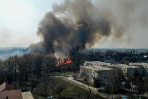 У Володимирі-Волинському біля дитсадка запалили сухостій