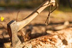 Мешканка Львівщини  зарубала свою матір сокирою