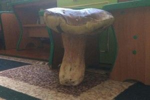 Цьогорічні гриби – як відра й стільці!