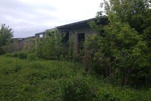 У Струмівці Луцького району продають гектар землі