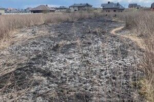 У Рованцях через підпал трави горіла територія біля будинків (Фото)
