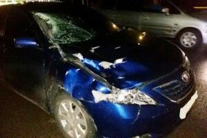 На Рівненщині жінка перебігала дорогу у невстановленому місці і поплатилася життям