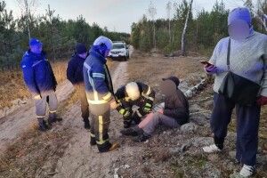 На Волині до грибника в лісі виїжджали рятувальники та «швидка»