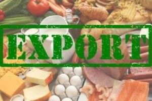 Село заробило для України майже 20 мільярдів доларів