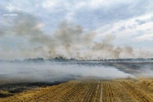 Дим заполонив все небо: на Волині зловмисники підпалили стерню