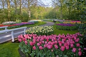 Погода на четвер, 13 травня: на Волині короткочасні дощі, місцями грози