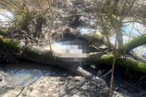 Зниклу жінку на Рівненщині виявили мертвою