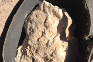 У єгипетській гробниці знайшли 3200-річний сир