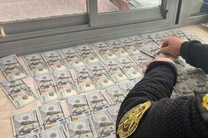 Під час проходження «зеленого коридору»  волинські митники зупинили мешканку Рівненщини