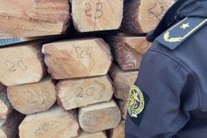 Житомирянин потайки віз через пункт пропуску на Волині близько 13 кубометрів деревини