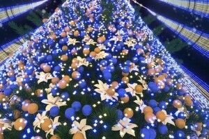У Києві планують встановити новорічну ялинку із тисячами вогників (Фото)
