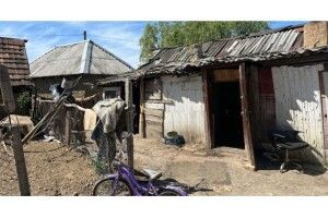 На Закарпатті 8 дітей із сім’ї ніколи не ходили до школи