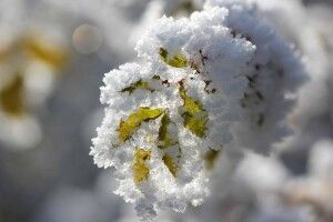 1 грудня: свята, день в історії, іменинники