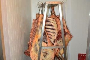 Волинська фірма потрапила в ТОП-10 експортерів яловичини