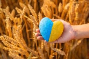 Завтра на Волині відбудеться благодійний марафон на підтримку ЗСУ