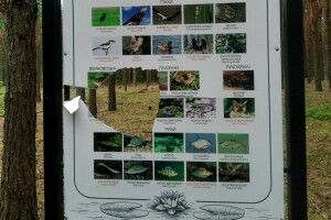 Вандалізм у серці природи: у нацпарку на Волині нищать екостенди