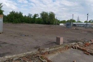 На Старому базарі в Луцьку демонтують контейнери (Відео)