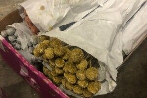 Підприємець хотів незаконно ввезти з Естонії в Україну 6 тонн свіжих квітів і листя
