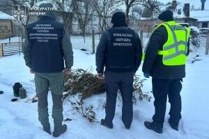 Понад кілограм «товару» вдома: на Волині судитимуть наркозбувача