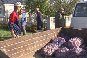 Картоплю почали збирати з дев'ятої ранку: як волинська громада дбала про «другий хліб» для пацієнтів медзакладів (Фото, відео)