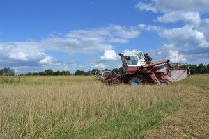 На Ратнівщині проінспектували хід жнив та заготівлю кормів 