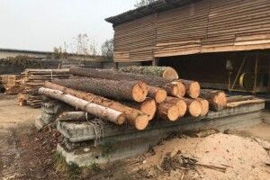 2 тисячі гривень та 40 доларів хабаря: на Волині затримали авто з сумнівною деревиною