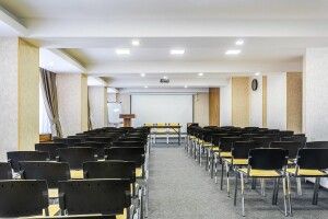 Як би виглядала конференція без оренди спеціалізованого залу