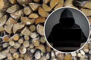 Жителька Волині за фотографію дров заплатила 12 тисяч гривень