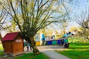 У Луцьку відкрили «сезон атракціонів», у Центральному парку запевняють – безпека відвідувачів понад усе