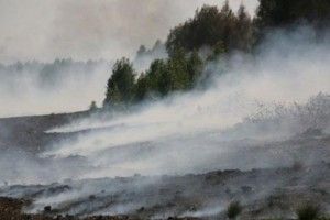 Гасять і сваряться: на Волині горить 7 гектарів торфовищ