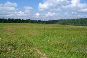 Депутата з Володимира оштрафували на 6800 гривень за виділення землі власній матері