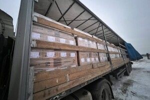 Німеччина виділила понад 8 мільйонів гривень на світло для громад Волині