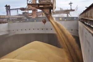 Україна забезпечує продовольством 150 мільйонів людей