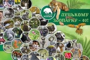 Луцький зоопарк вирішив відзначити своє 40-річчя Святом гарбуза 