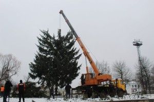 У Нововолинську ялинка тріснула навпіл