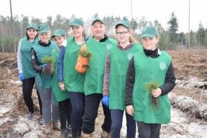 Школярі з Прилісного висадили 35 тисяч сіянців сосни та берези