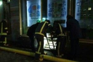 У Луцьку врятували риже чудо, яке впало в яму і не могло вибратися (Фото)