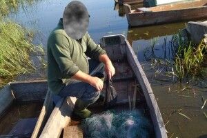 «Загрібав» рибу сіткою: рибпатруль застукав на волинському озері браконьєра
