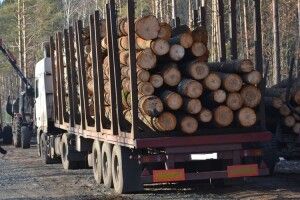 У Ківерцівському районі поліцейські затримали автомобіль із сумнівною деревиною 