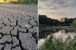 На Волині пересохле лісове озеро знову наповнилось водою