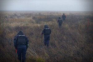 Майже 10 гектарів під загрозою: волинські сапери продовжують розміновувати українські землі