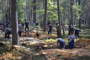 Рада прийняла в першому читанні законопроєкт про врегулювання видобутку бурштину